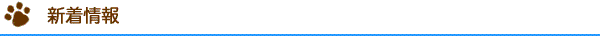 新着情報