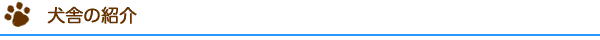 犬舎の紹介